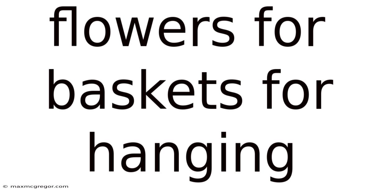 Flowers For Baskets For Hanging