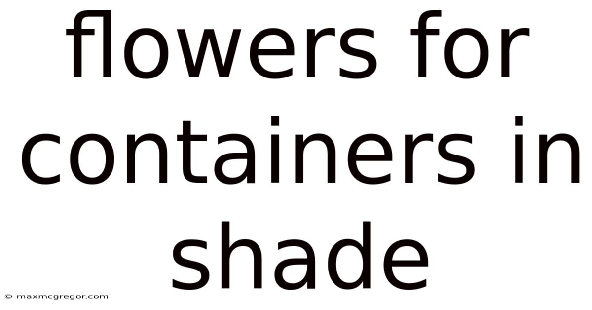 Flowers For Containers In Shade
