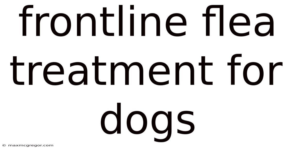 Frontline Flea Treatment For Dogs
