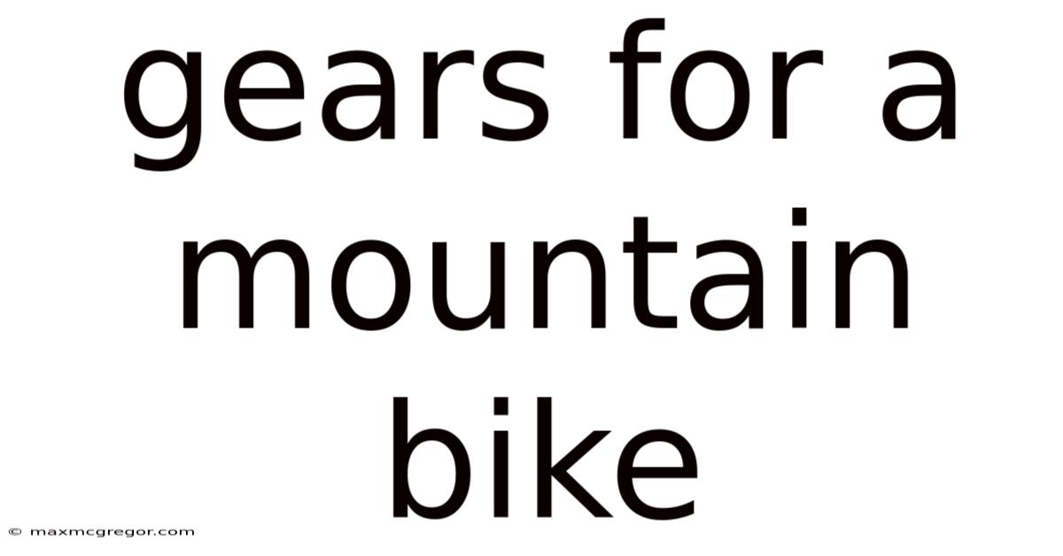 Gears For A Mountain Bike