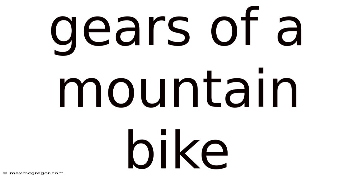 Gears Of A Mountain Bike