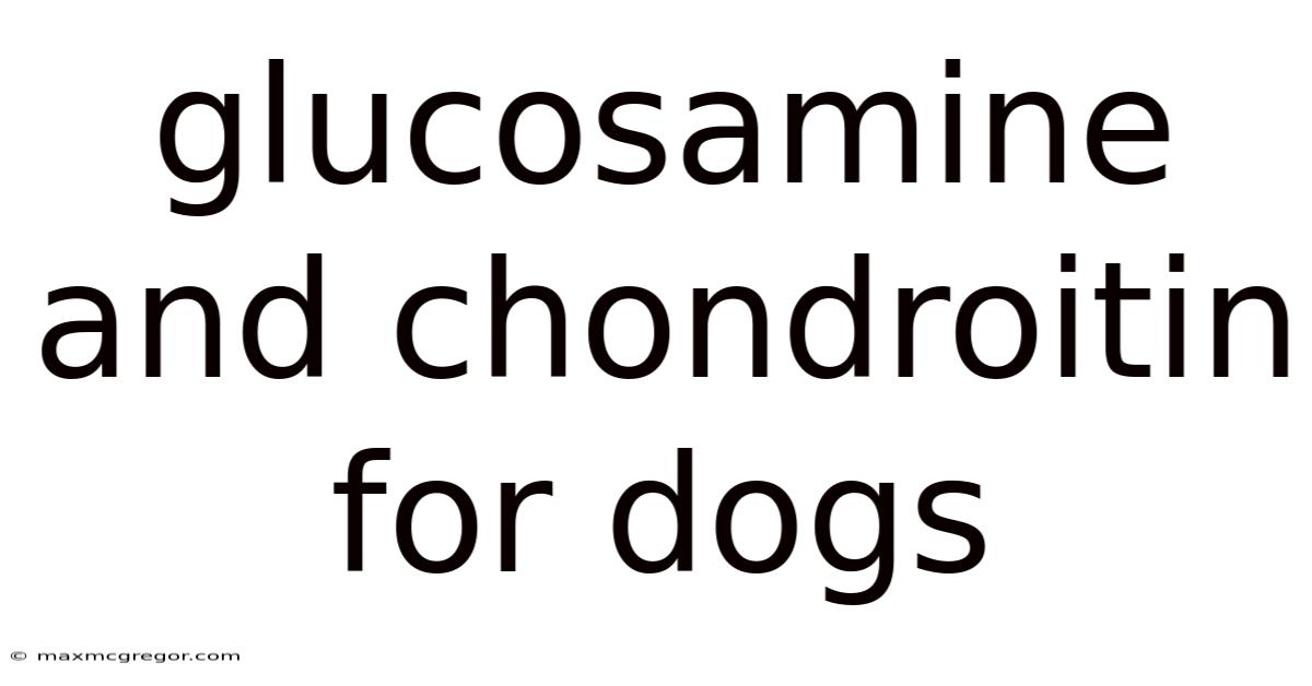 Glucosamine And Chondroitin For Dogs