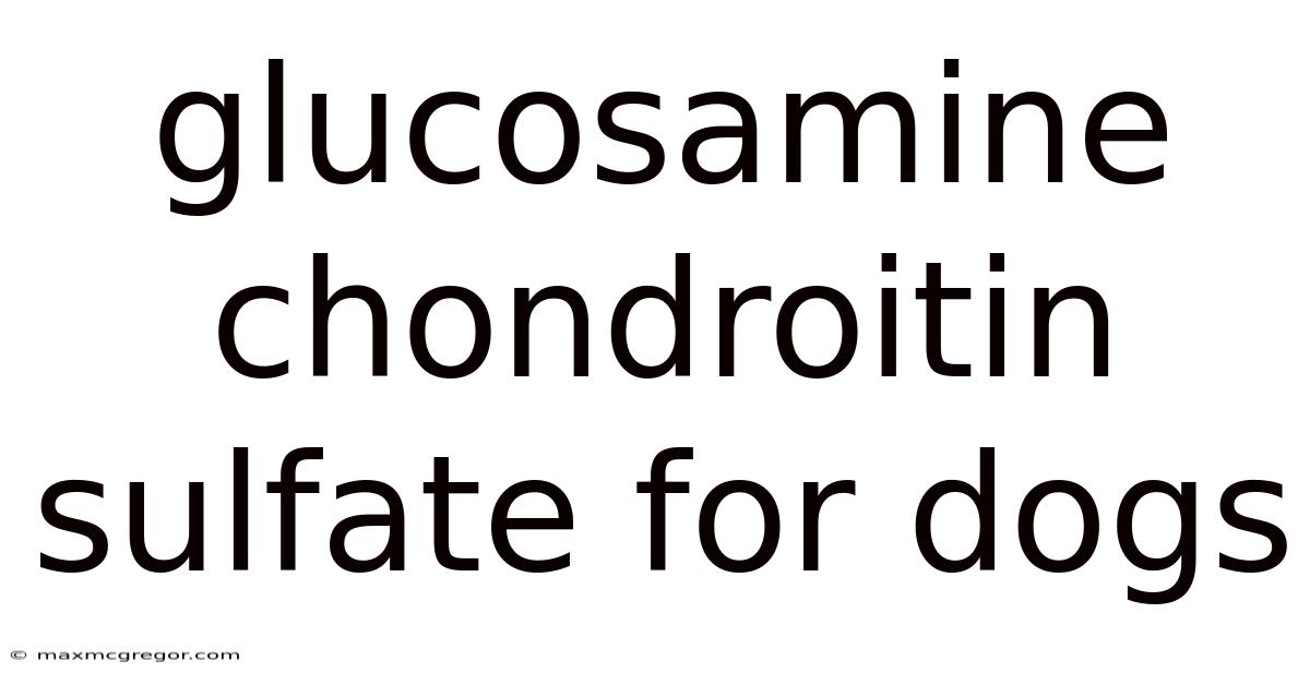 Glucosamine Chondroitin Sulfate For Dogs