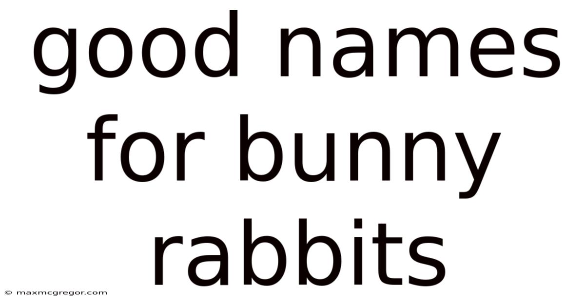 Good Names For Bunny Rabbits