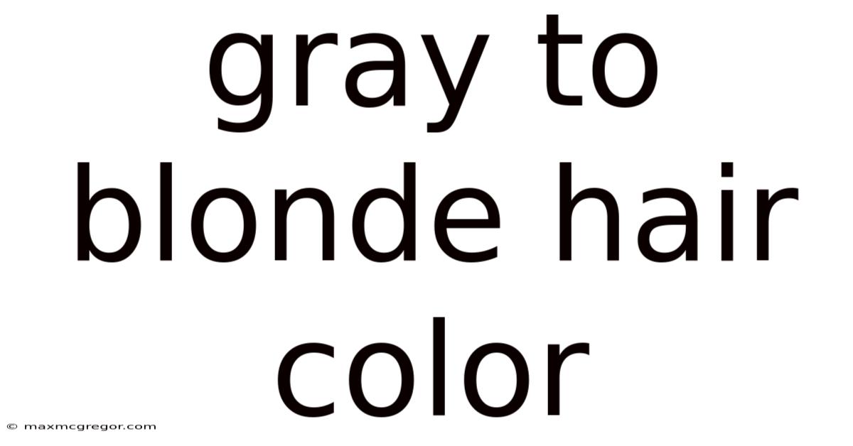 Gray To Blonde Hair Color