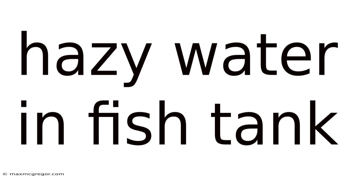 Hazy Water In Fish Tank