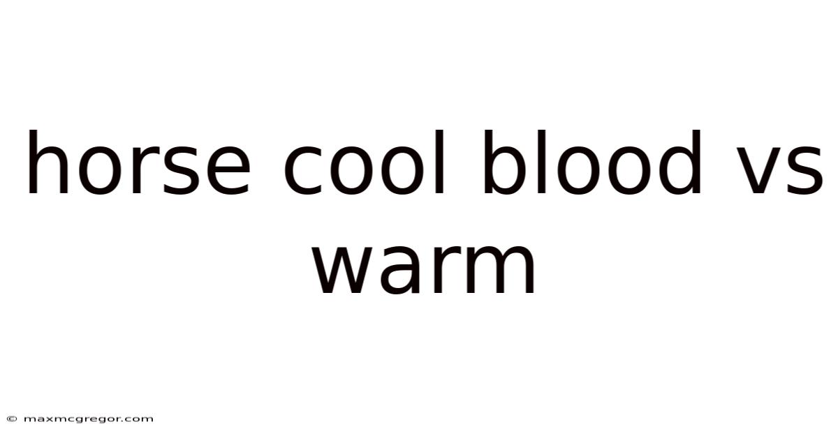 Horse Cool Blood Vs Warm
