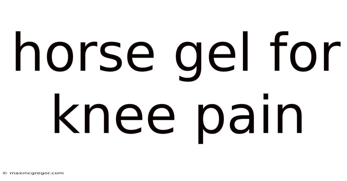 Horse Gel For Knee Pain