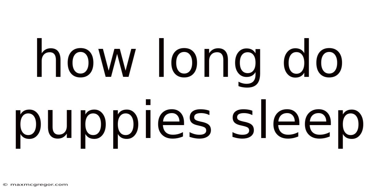 How Long Do Puppies Sleep
