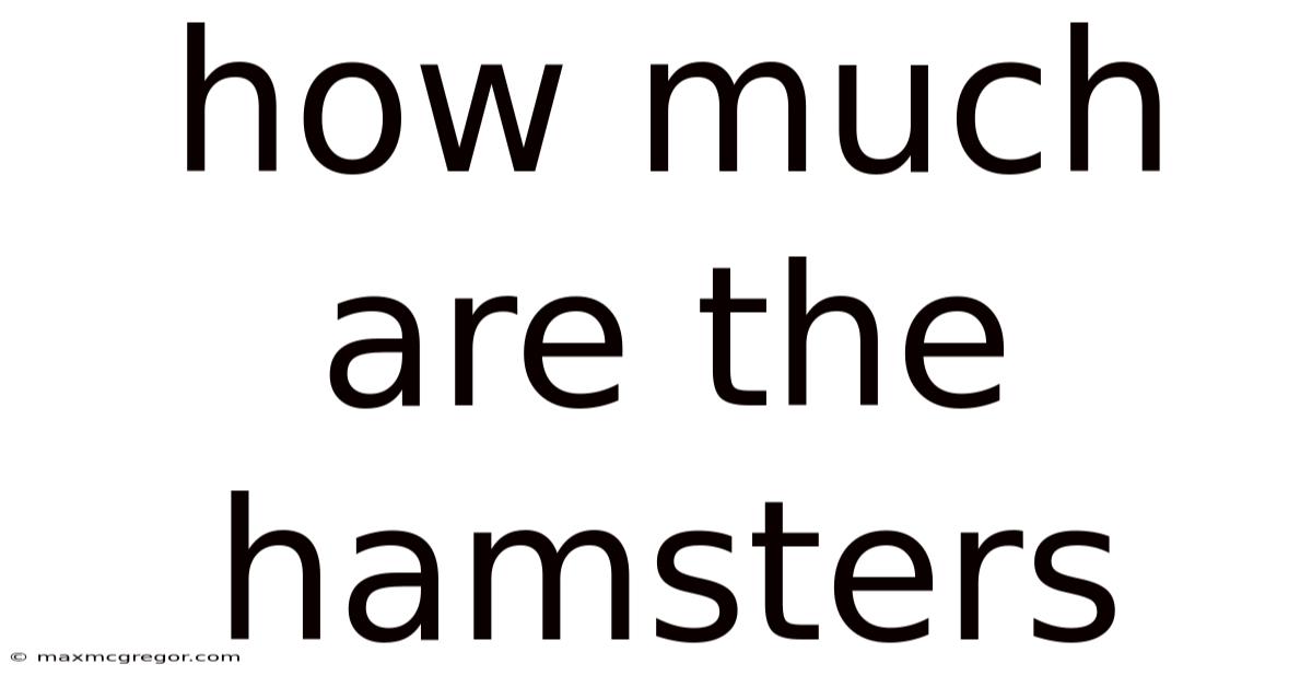 How Much Are The Hamsters