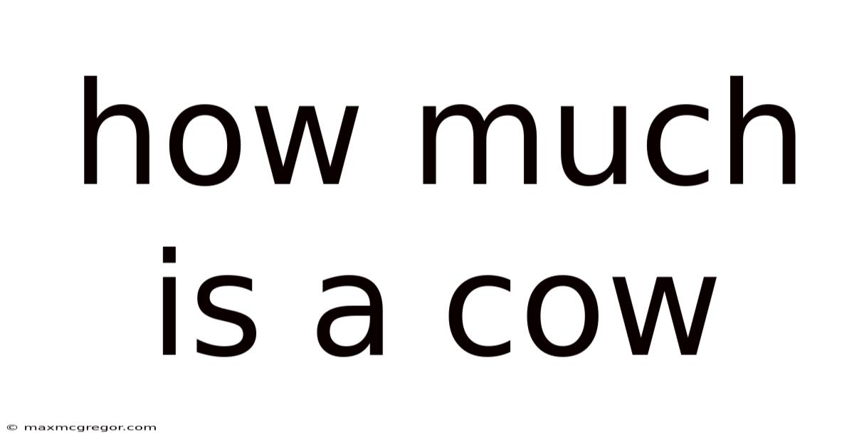 How Much Is A Cow