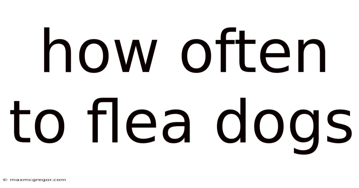 How Often To Flea Dogs