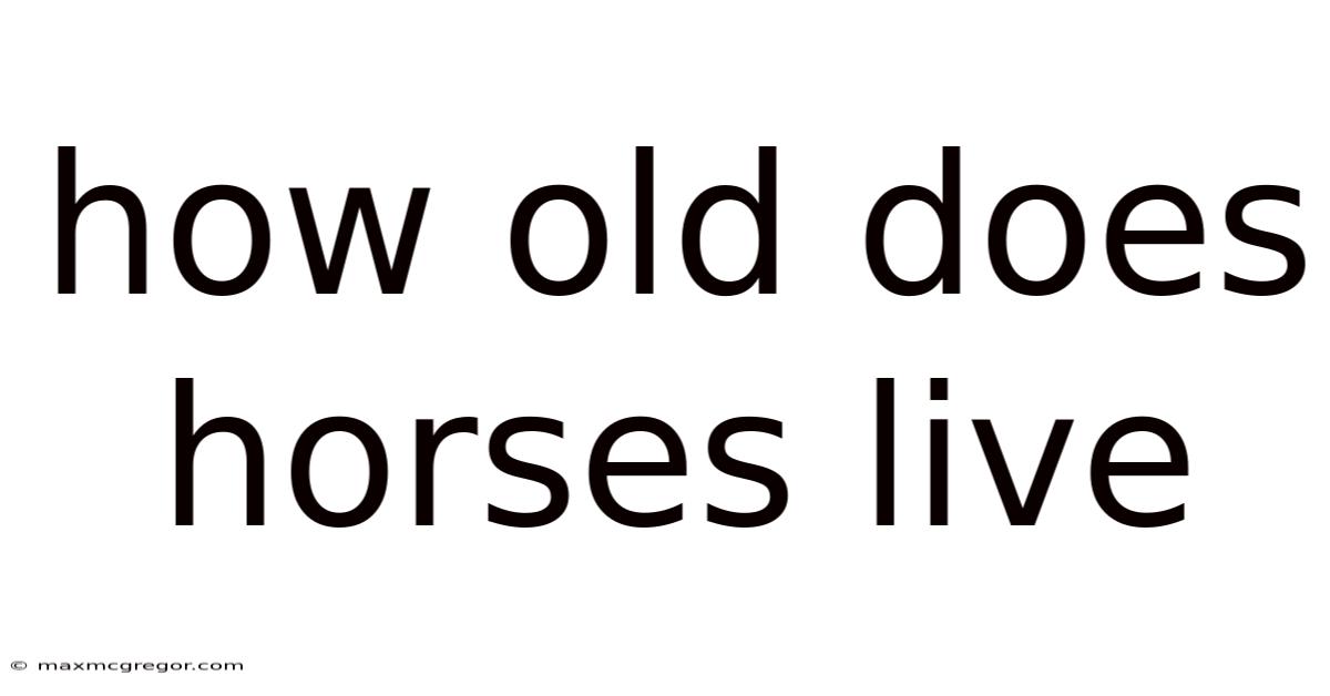 How Old Does Horses Live