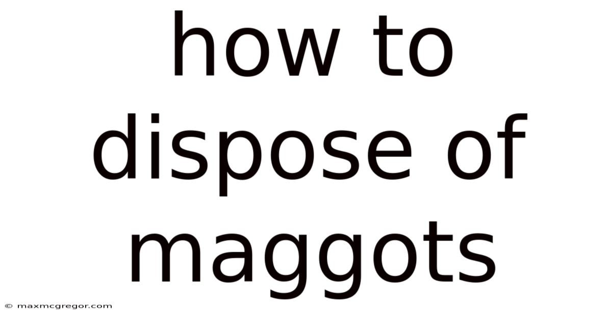 How To Dispose Of Maggots