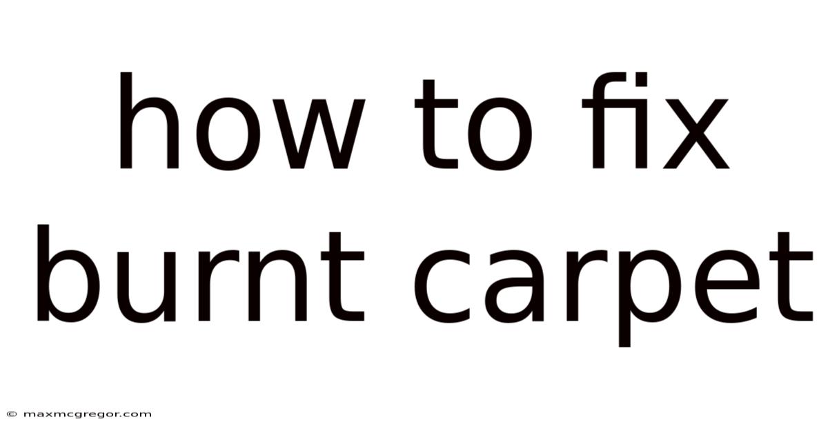 How To Fix Burnt Carpet