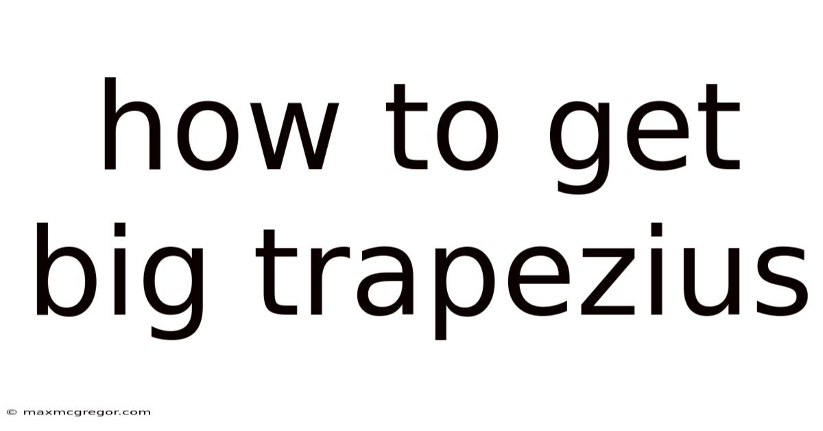 How To Get Big Trapezius