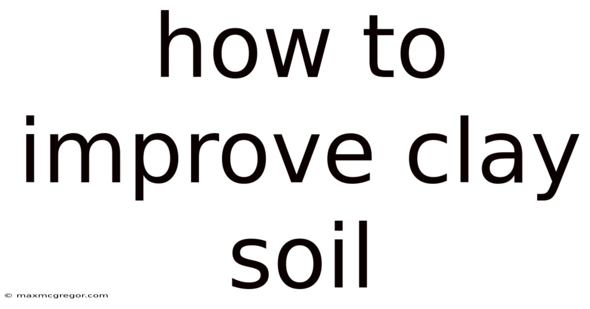 How To Improve Clay Soil
