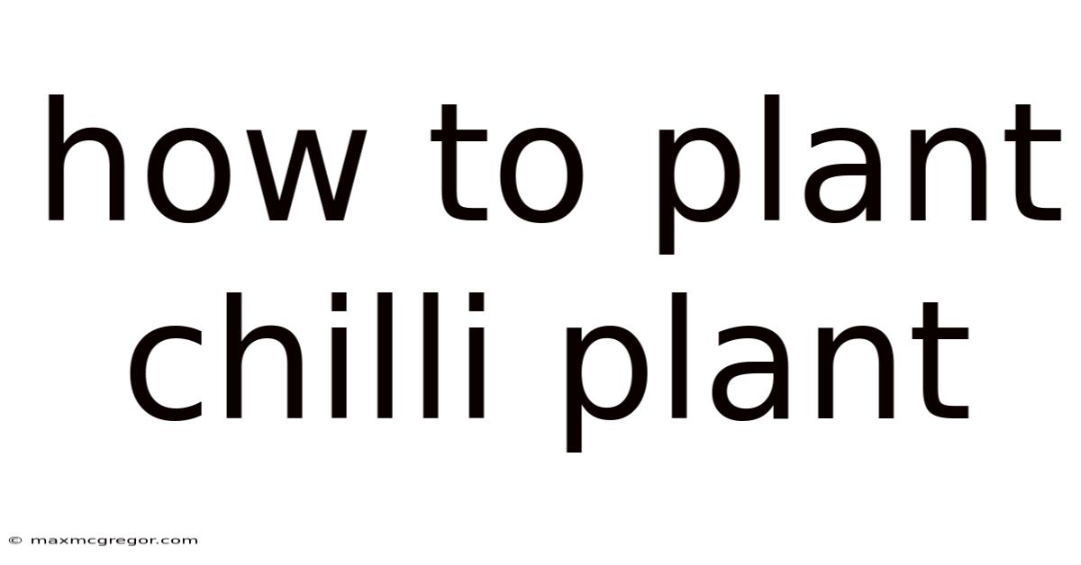 How To Plant Chilli Plant