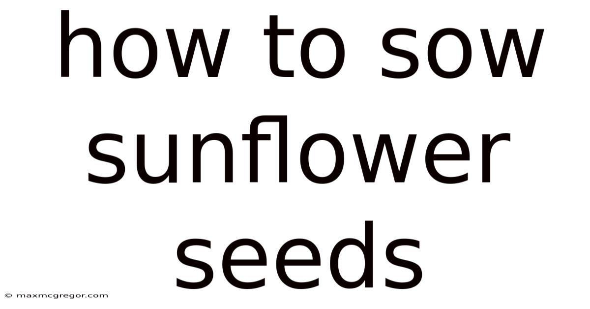 How To Sow Sunflower Seeds