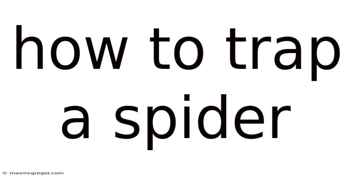 How To Trap A Spider