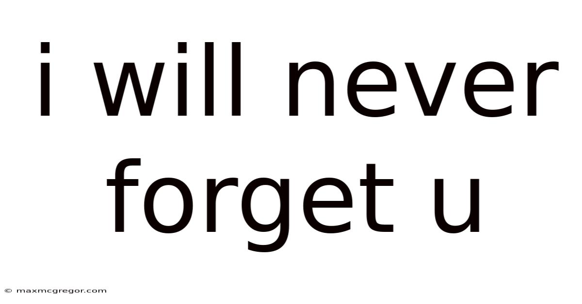 I Will Never Forget U
