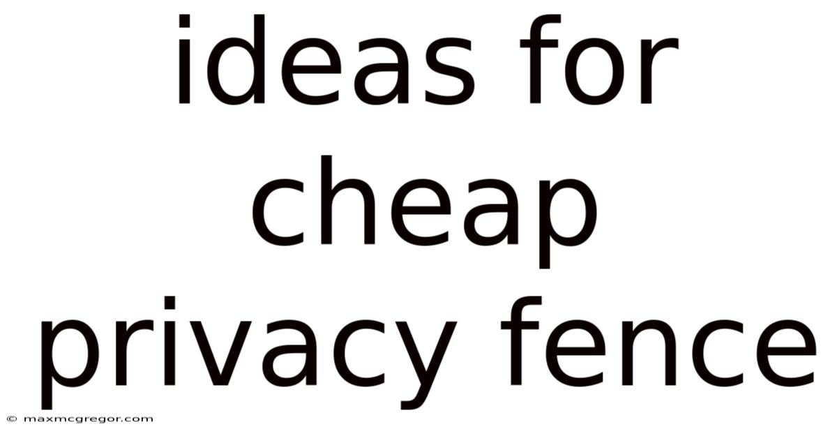 Ideas For Cheap Privacy Fence