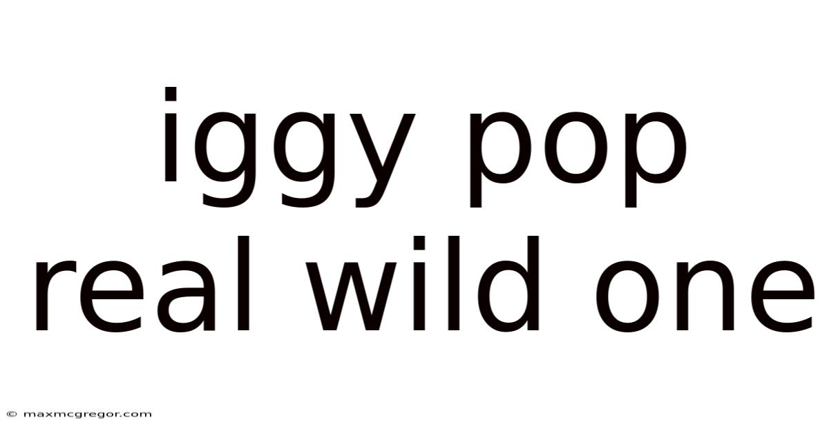 Iggy Pop Real Wild One