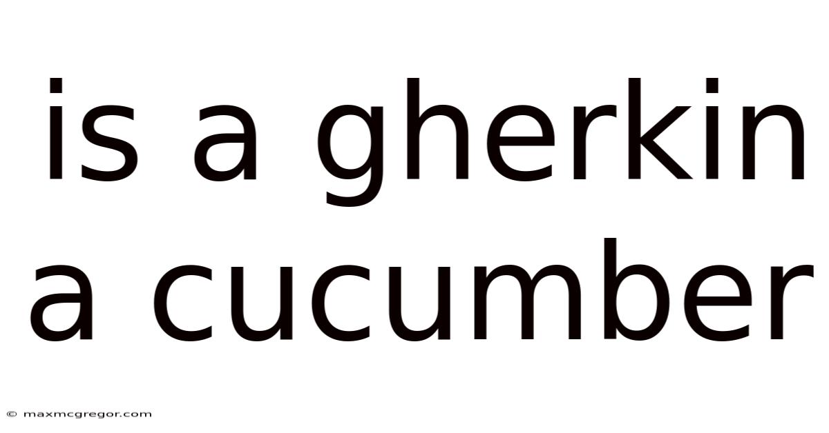 Is A Gherkin A Cucumber