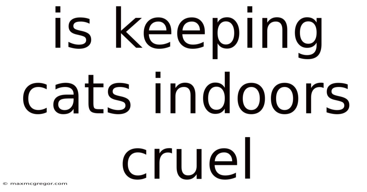 Is Keeping Cats Indoors Cruel