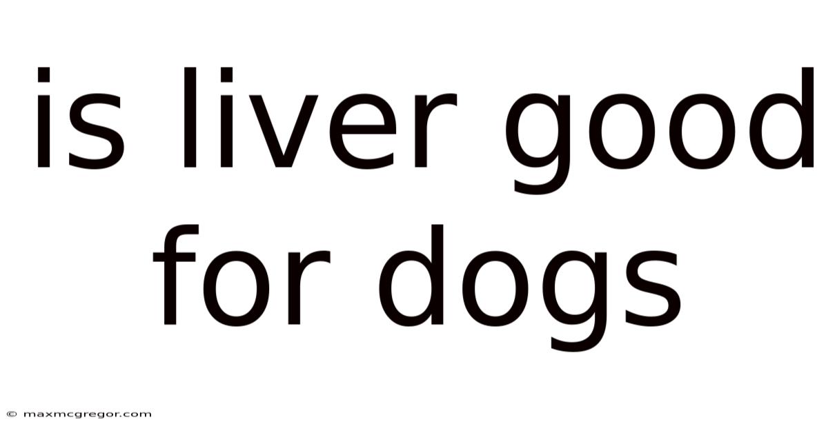 Is Liver Good For Dogs