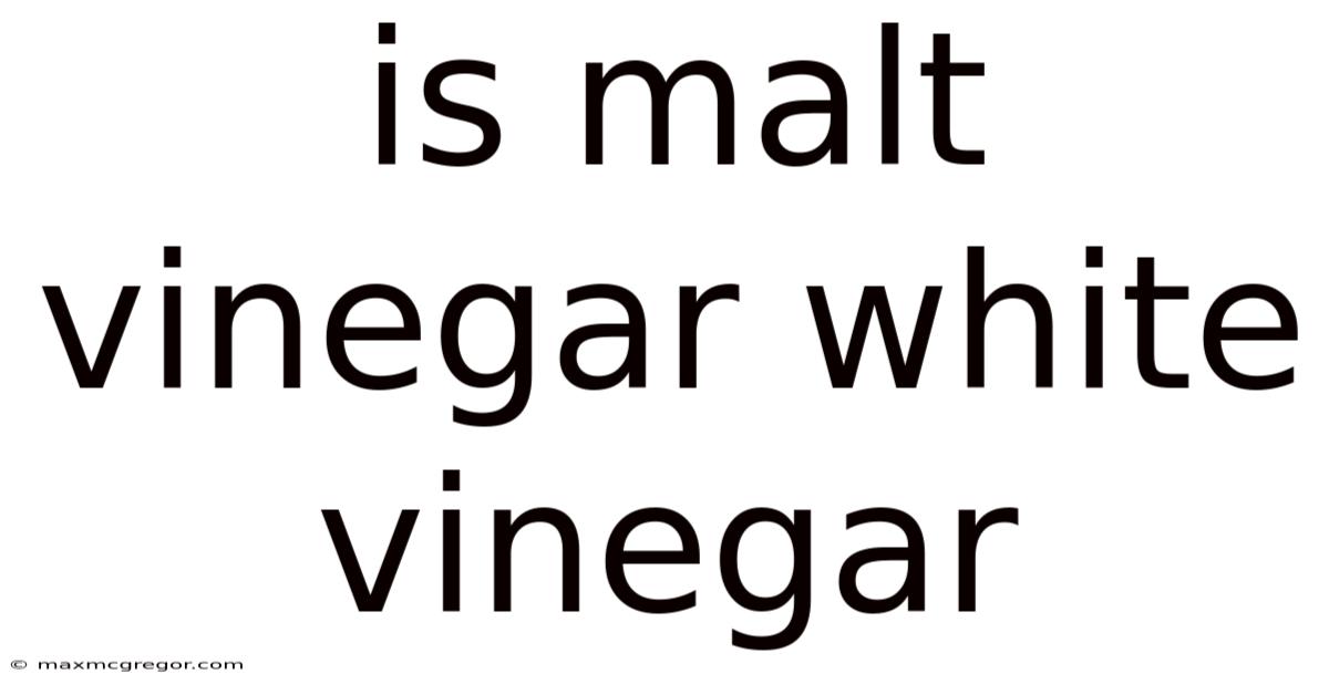 Is Malt Vinegar White Vinegar