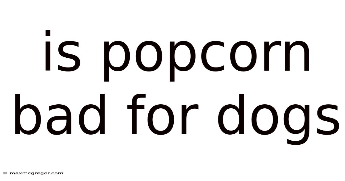 Is Popcorn Bad For Dogs