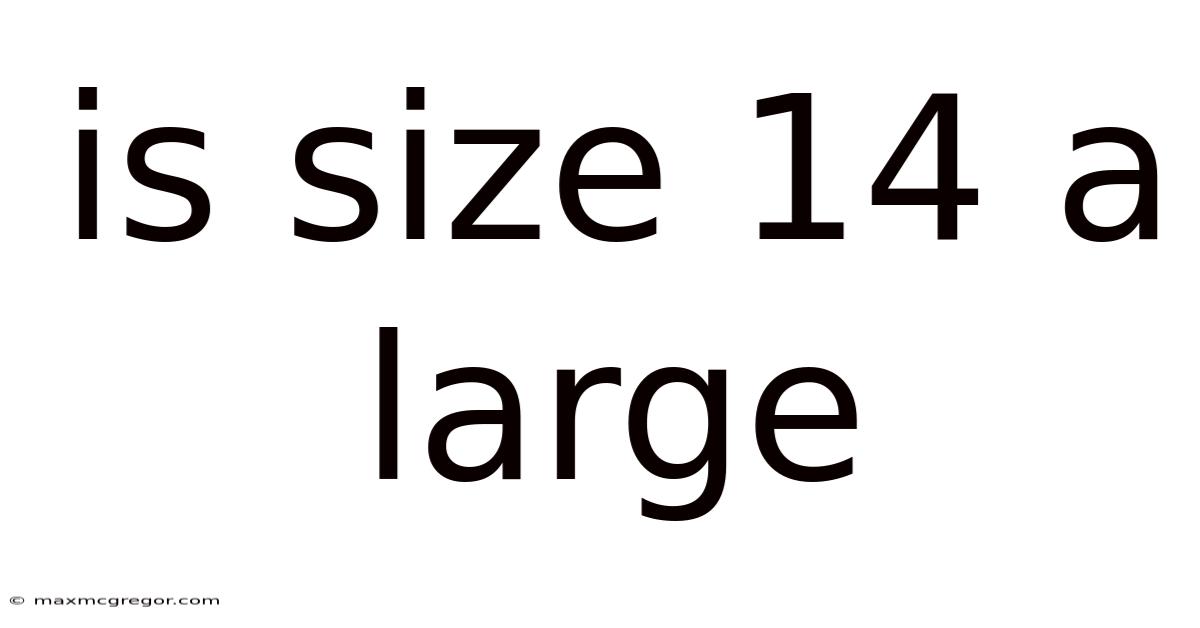 Is Size 14 A Large
