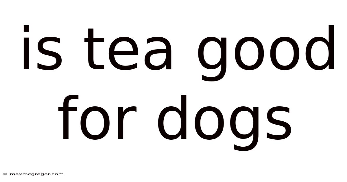 Is Tea Good For Dogs