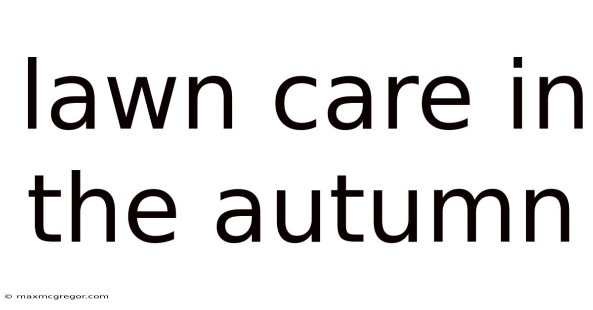 Lawn Care In The Autumn