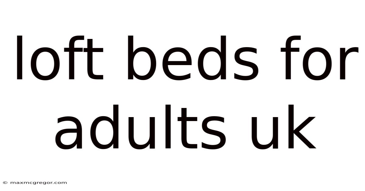 Loft Beds For Adults Uk