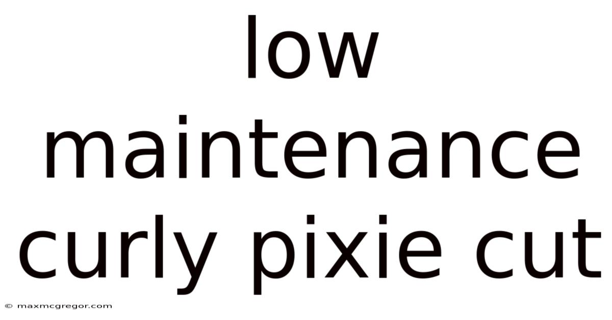 Low Maintenance Curly Pixie Cut