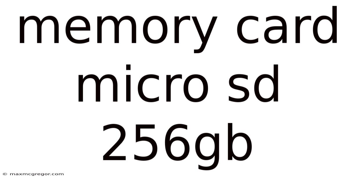 Memory Card Micro Sd 256gb