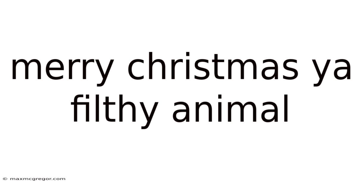 Merry Christmas Ya Filthy Animal