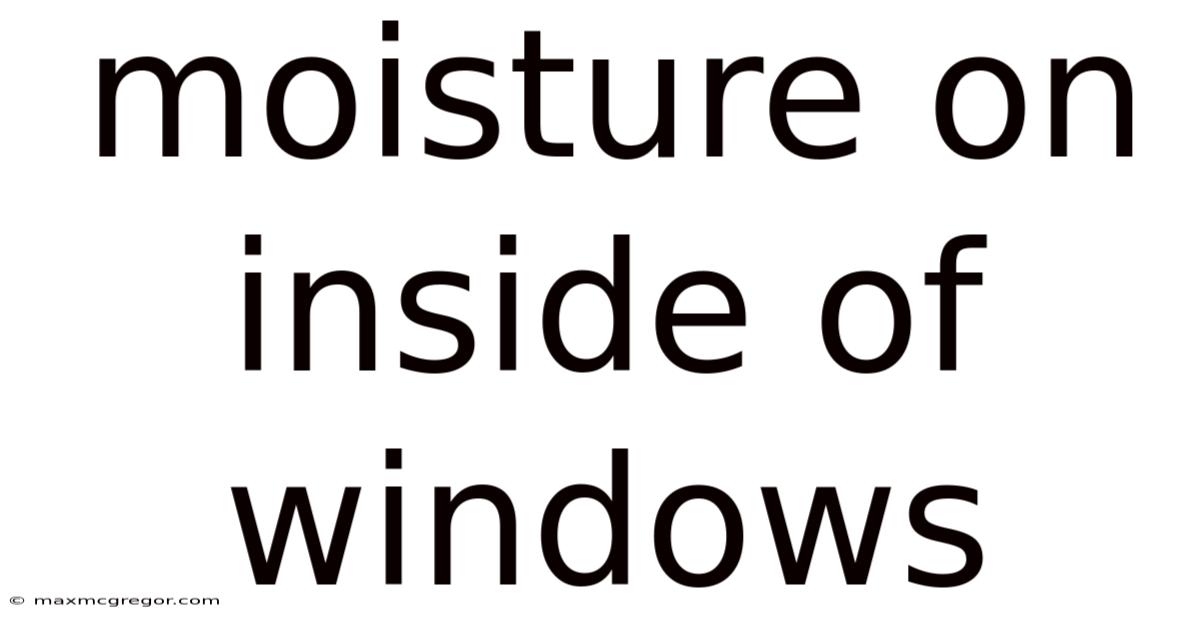 Moisture On Inside Of Windows