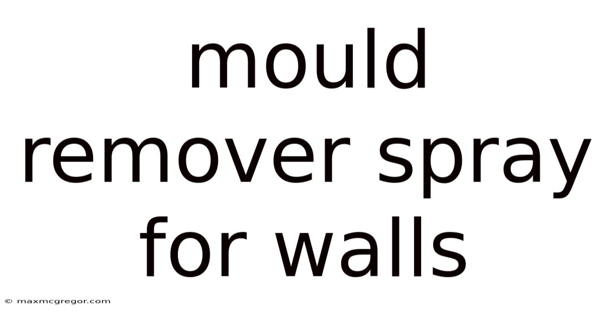 Mould Remover Spray For Walls