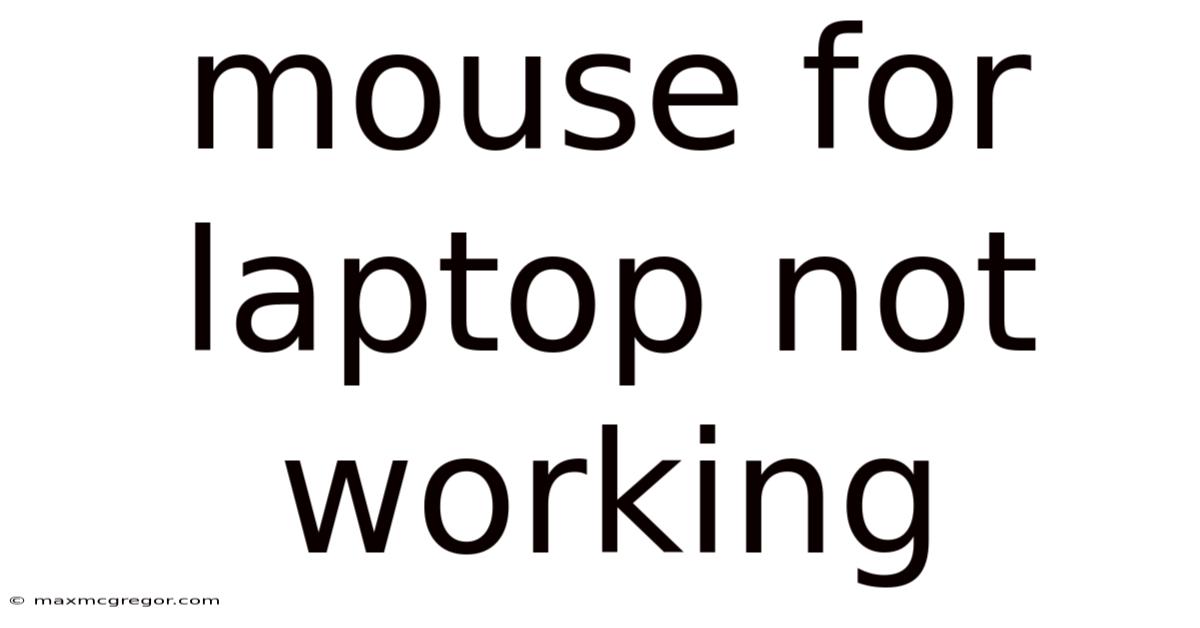 Mouse For Laptop Not Working