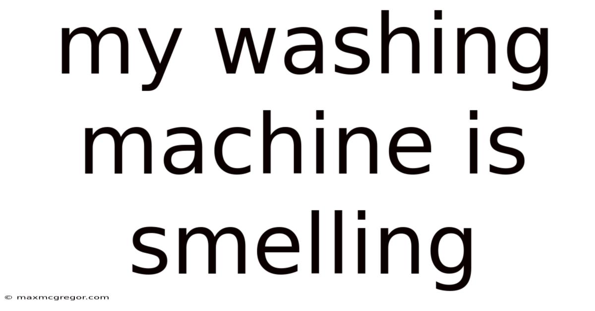 My Washing Machine Is Smelling
