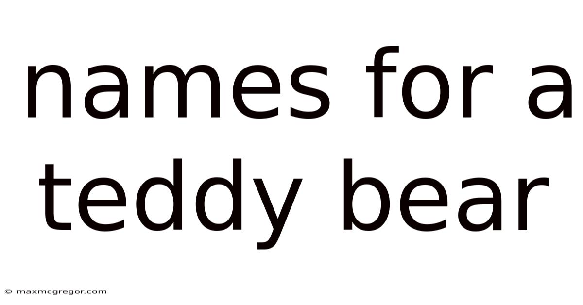 Names For A Teddy Bear