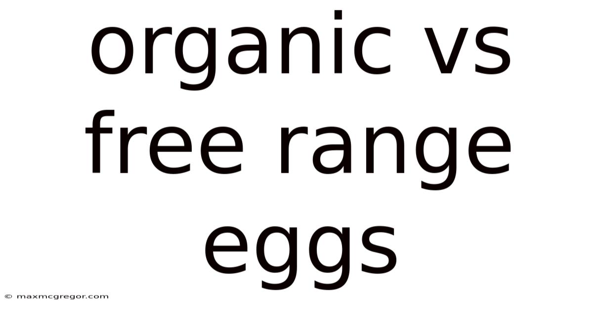 Organic Vs Free Range Eggs