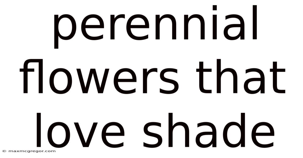 Perennial Flowers That Love Shade