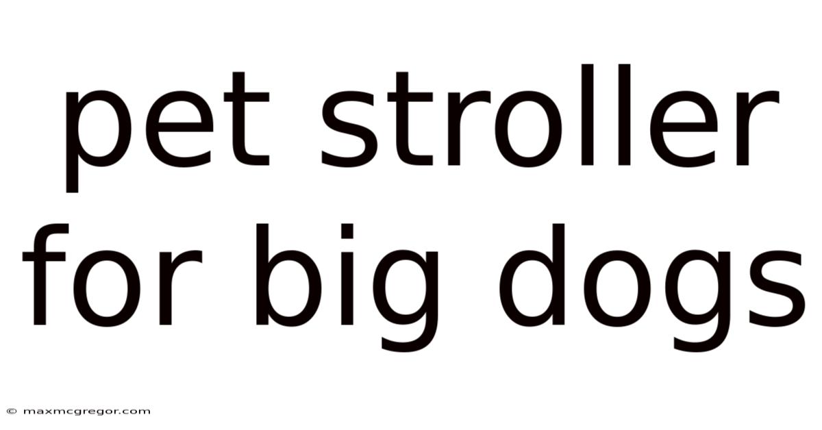 Pet Stroller For Big Dogs