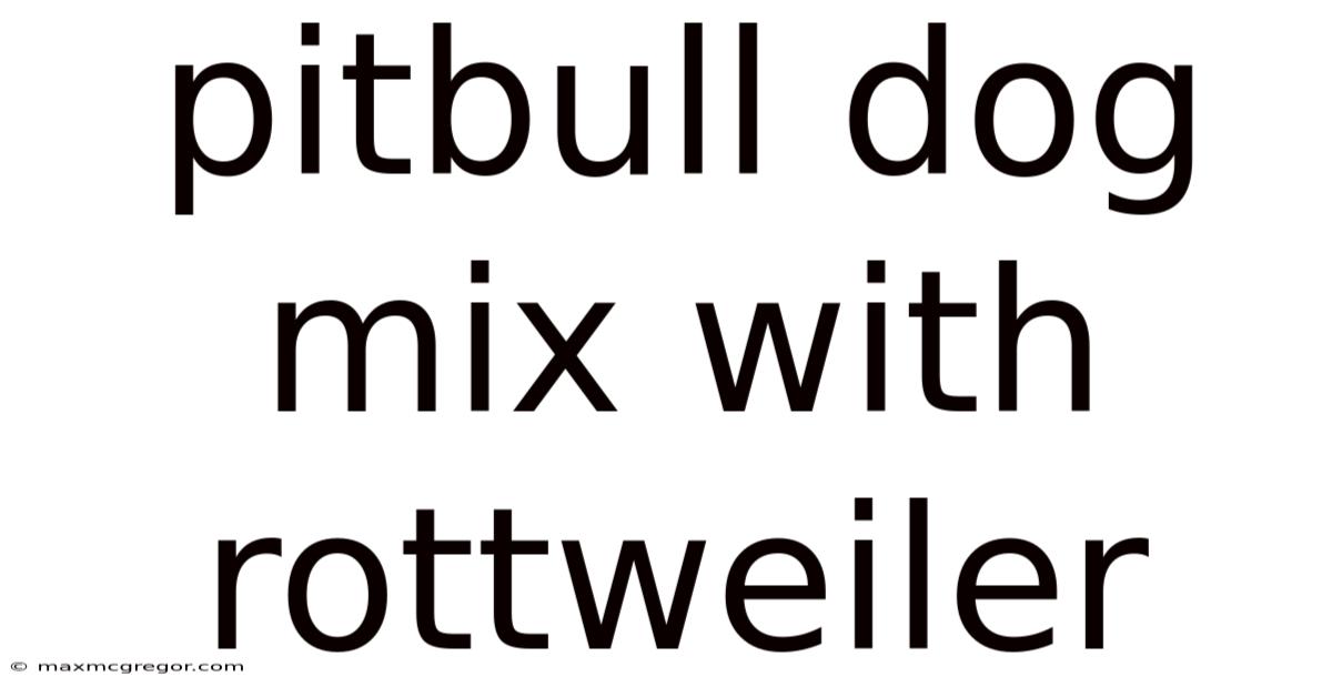 Pitbull Dog Mix With Rottweiler