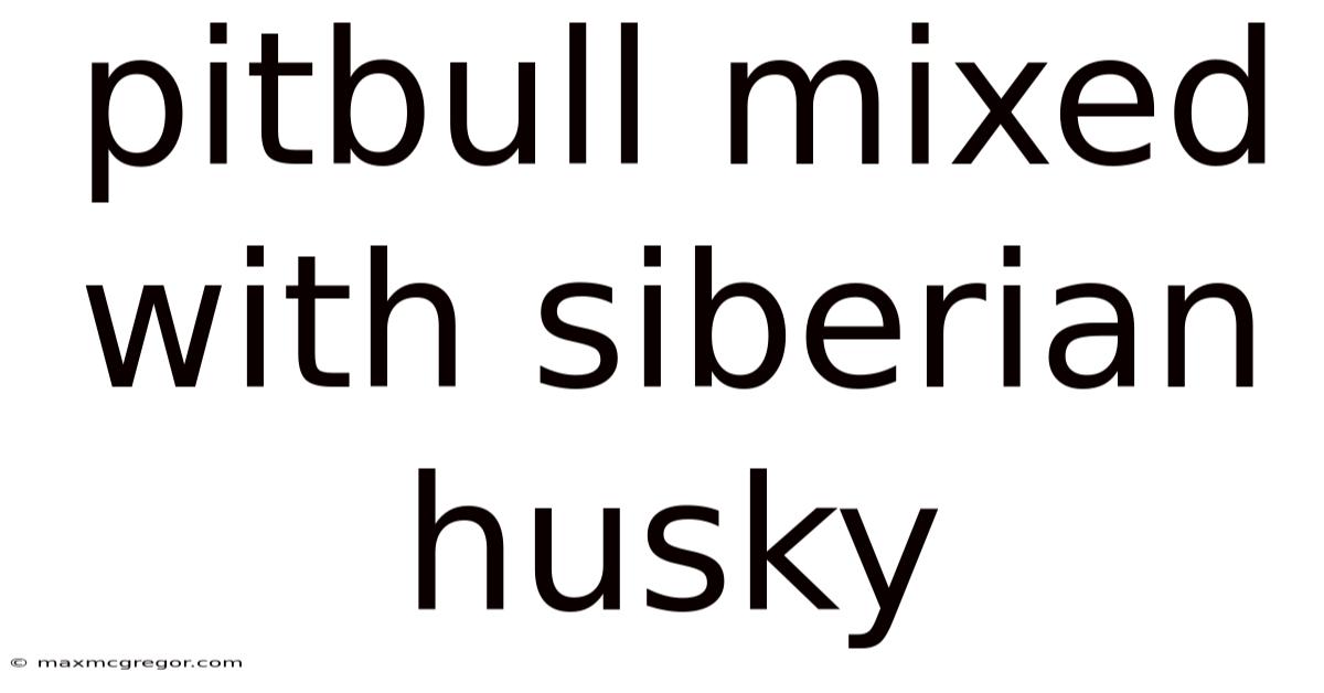 Pitbull Mixed With Siberian Husky