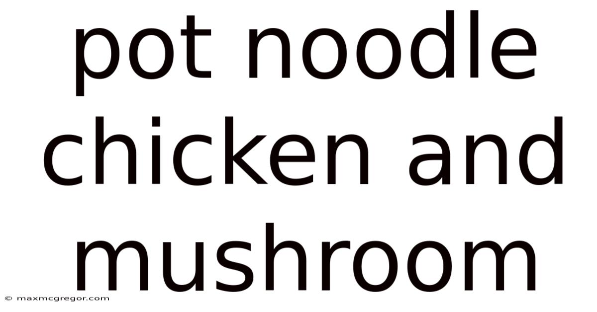 Pot Noodle Chicken And Mushroom